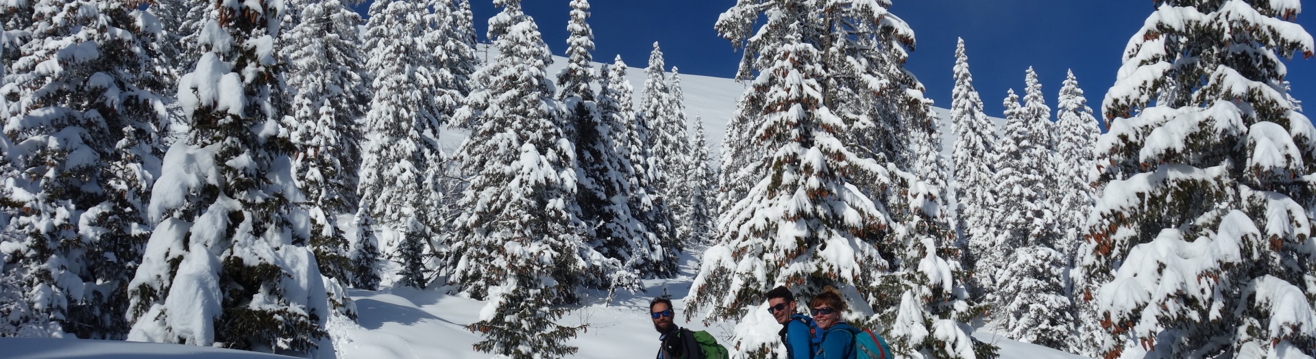 Réveillon raquettes et cocooning dans le Vercors