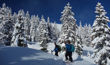 Réveillon raquettes et cocooning dans le Vercors